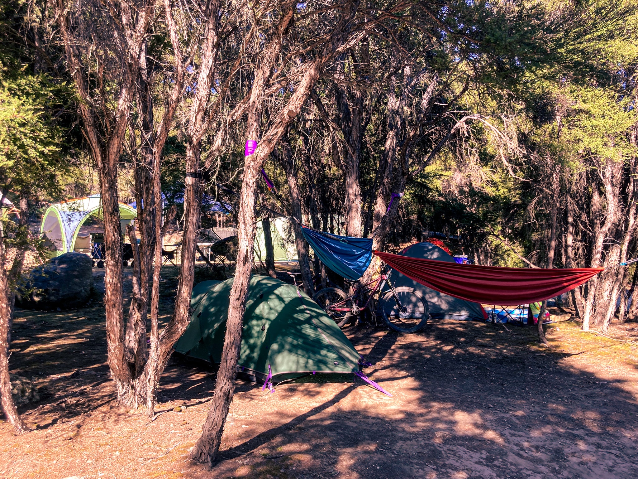 Shady camping site - Outlet Camp Wānaka